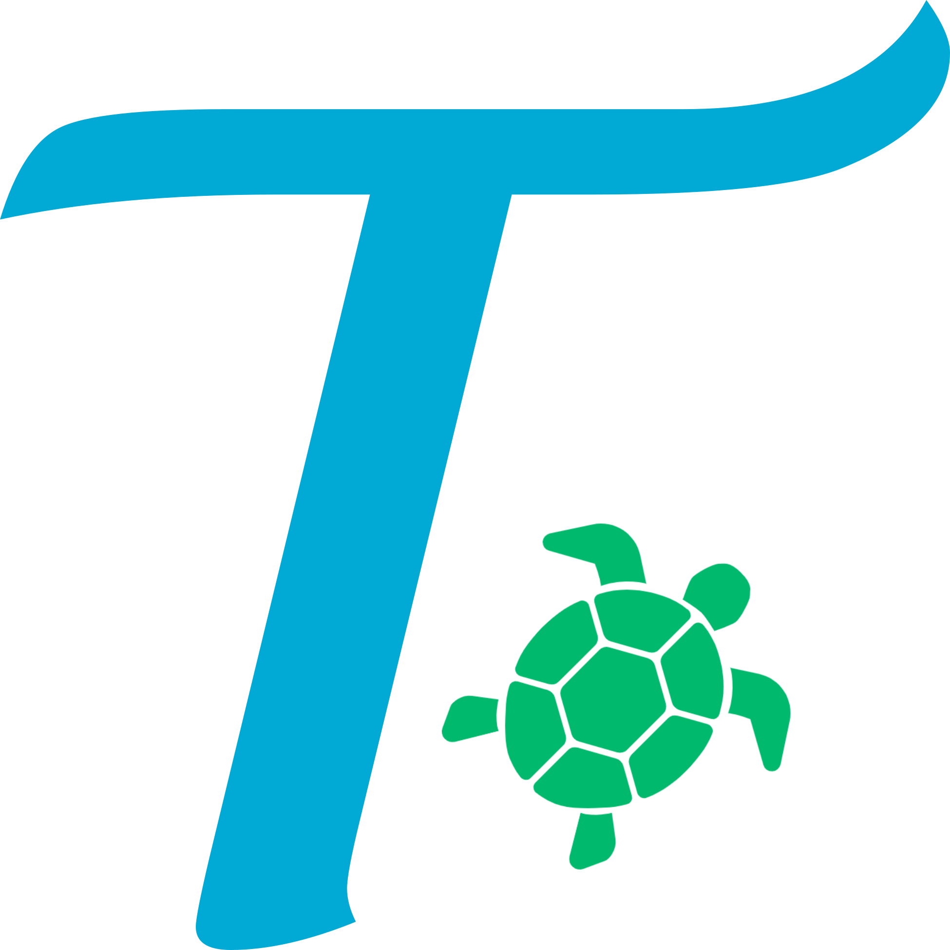 T-turtle01