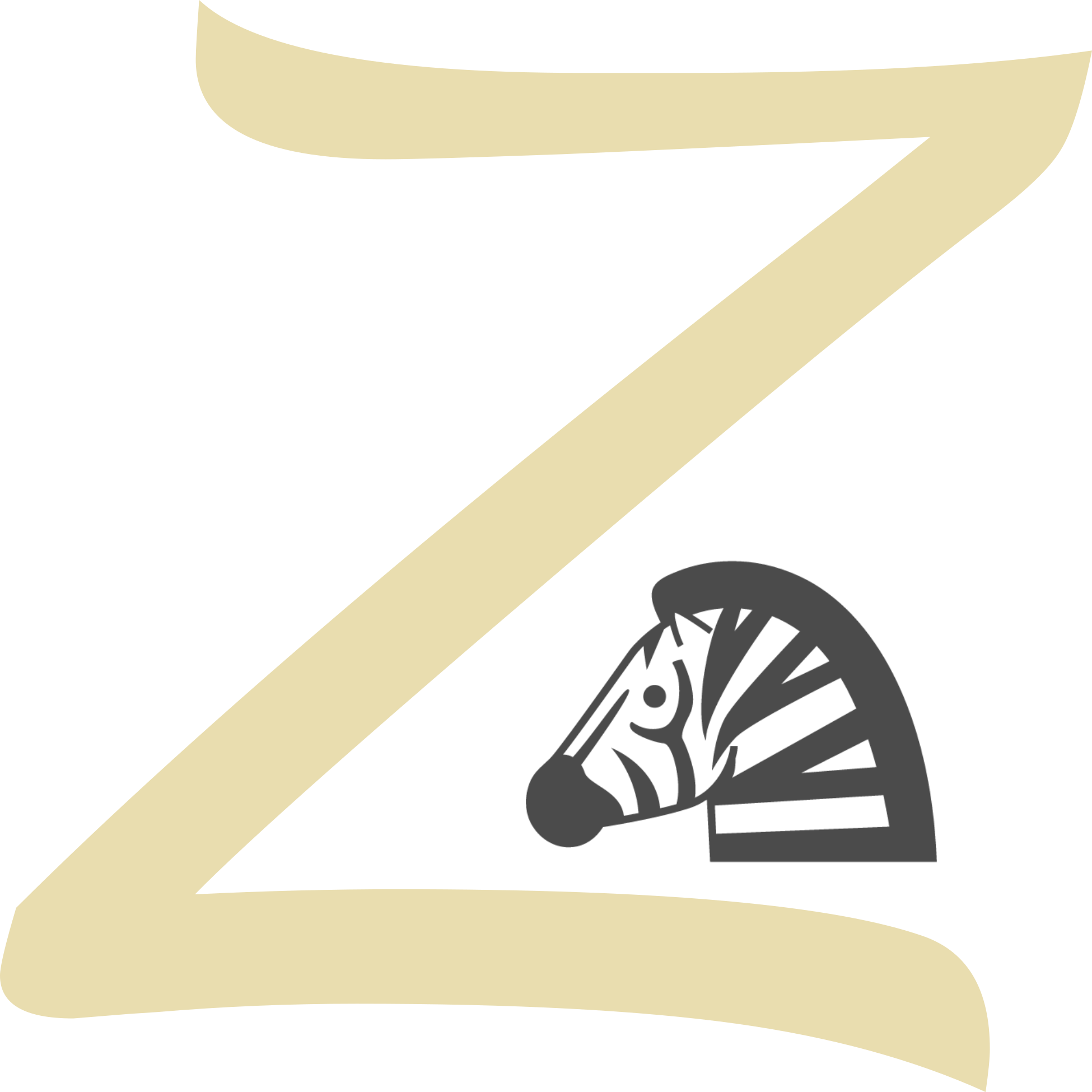 Z-zebra01