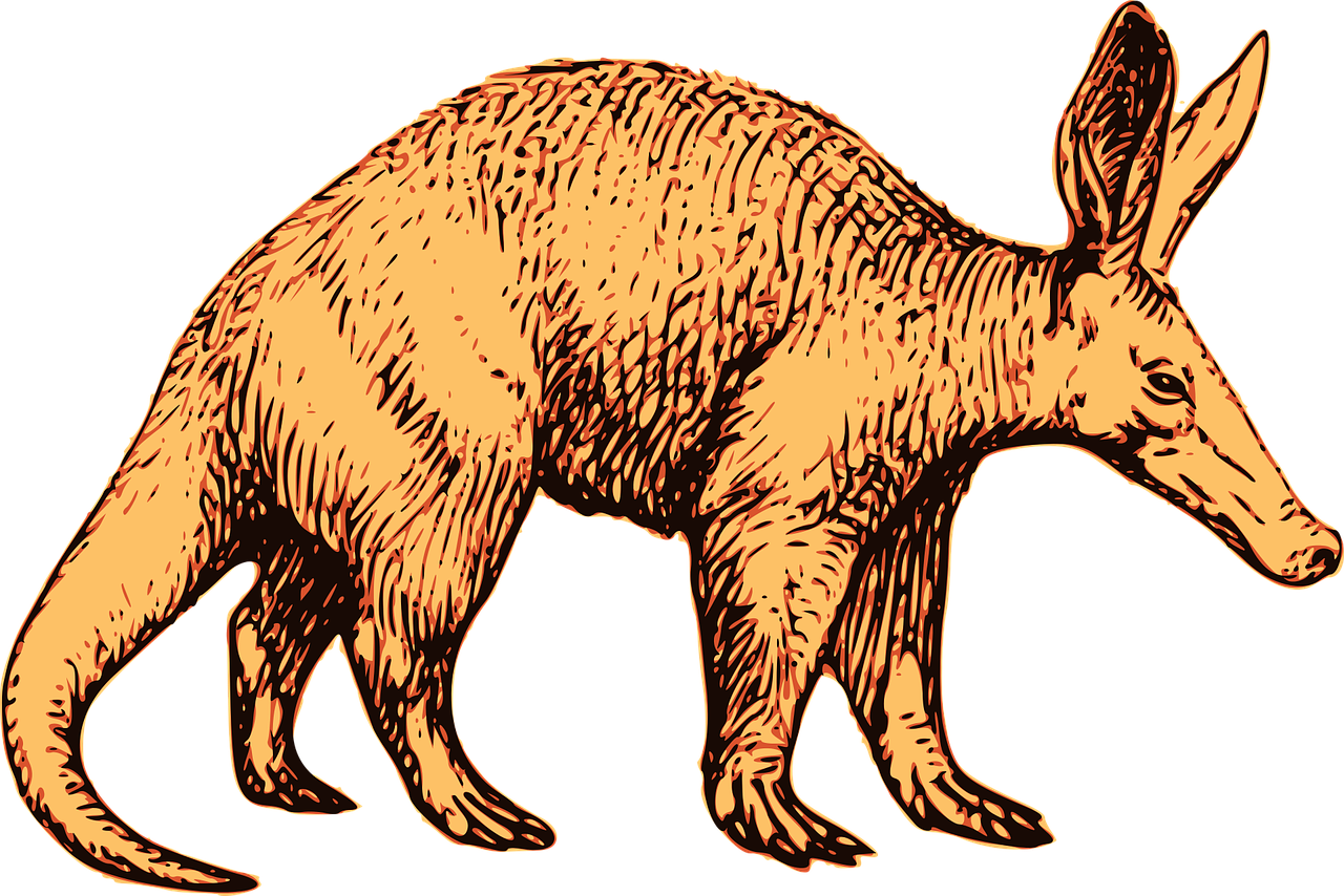 ardvark