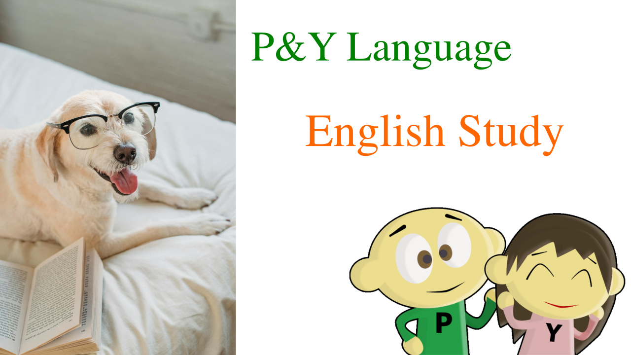 py-lang-english-study01
